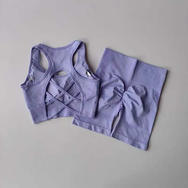 Comfortable 2 PCS Women's Workout Sporstwear