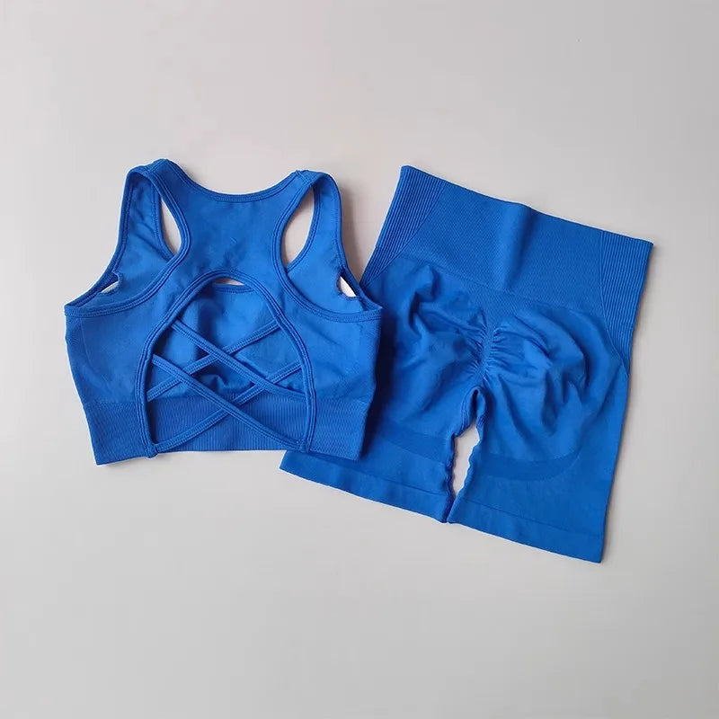 Comfortable 2 PCS Women's Workout Sporstwear