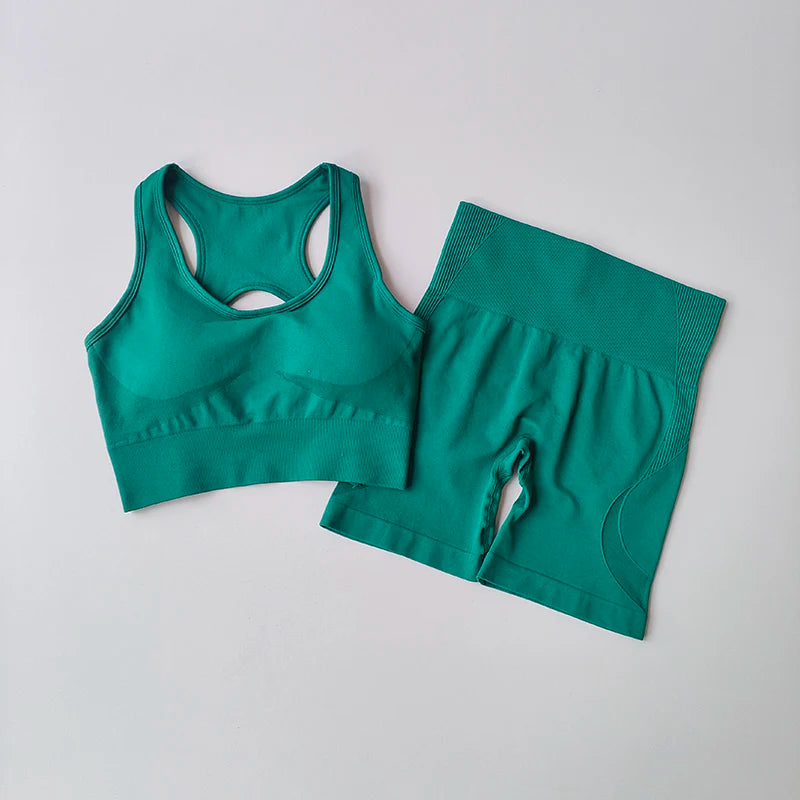 Comfortable 2 PCS Women's Workout Sporstwear